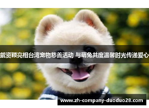 戴资颖亮相台湾宠物慈善活动 与萌兔共度温馨时光传递爱心