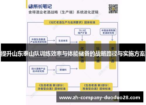 提升山东泰山队训练效率与体能储备的战略路径与实施方案