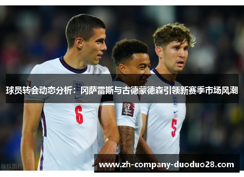 球员转会动态分析:冈萨雷斯与古德蒙德森引领新赛季市场风潮 球员转会动态分析:冈萨雷斯与古德蒙德森引领新赛季市场风潮